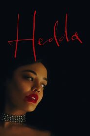 Hedda (2025) Dual Audio [Hindi ORG-English] Amazon WEB-DL – 480P | 720P | 1080P – x264 – 450MB | 1.1GB | 2.8GB ESub- Download & Watch Online