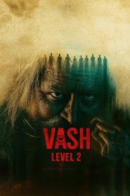 Vash Level 2 (2025) DS4K WEB-DL [Hindi (DD5.1) & Gujarati]1080p 720p & 480p Dual Audio [x264/10Bit-HEVC] | Full Movie