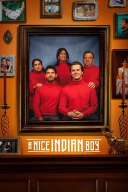 A Nice Indian Boy (2025) WEB-DL [Hindi (DD5.1) & English+MULTI] 1080p 720p & 480p Dual Audio [x264/10Bit-HEVC] | Full Movie